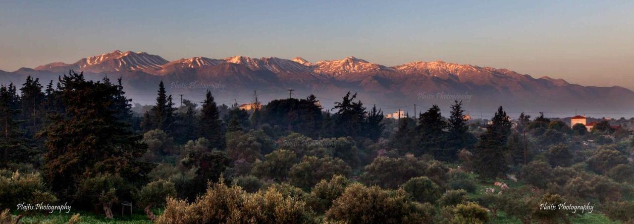Livingfy Apt With Mountain View & Garden Vámos Dış mekan fotoğraf